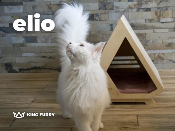 Domek dla kota i małego psa - King Furry elio